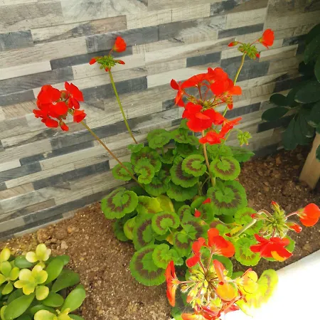 Ta' Rosalba Bed & Breakfast Nadur